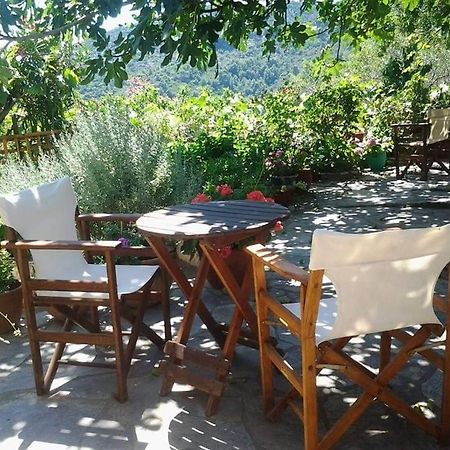 Villa Panayiota Алонисос Экстерьер фото