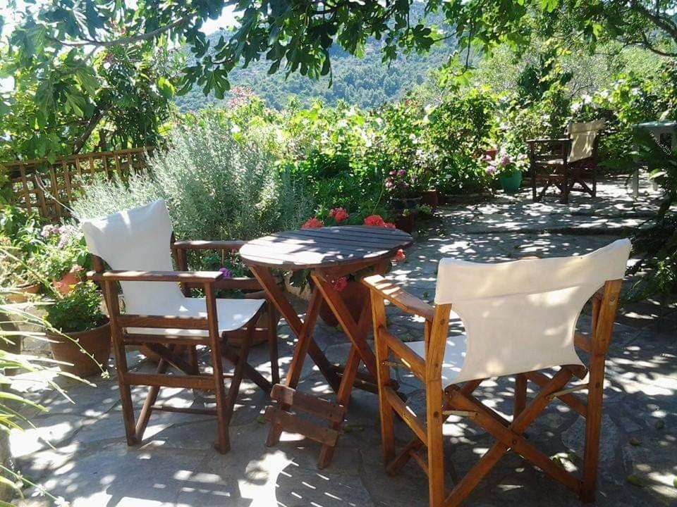 Villa Panayiota Алонисос Экстерьер фото
