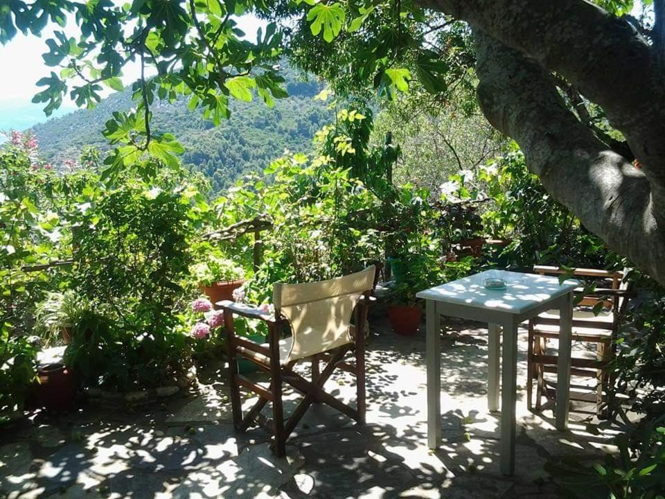 Villa Panayiota Алонисос Экстерьер фото