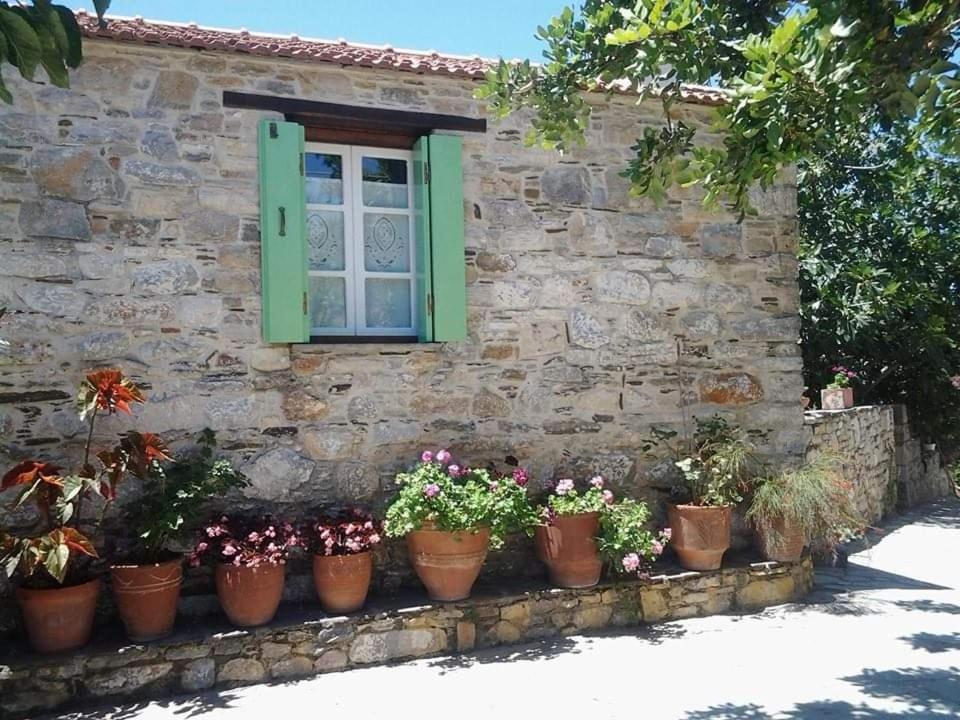 Villa Panayiota Алонисос Экстерьер фото